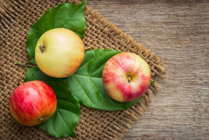 Post format gallery blogs